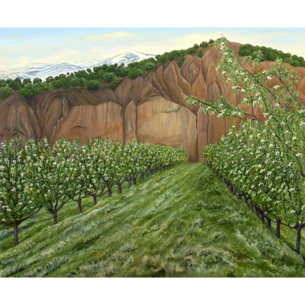 Quince Trees MultiColor 21x30 cm