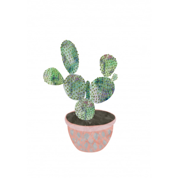 Boho Scandi Cactus 3 MultiColor 50x70 cm