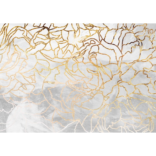 Abstract Gold Line Art Wall Mural MultiColor 50x70 cm