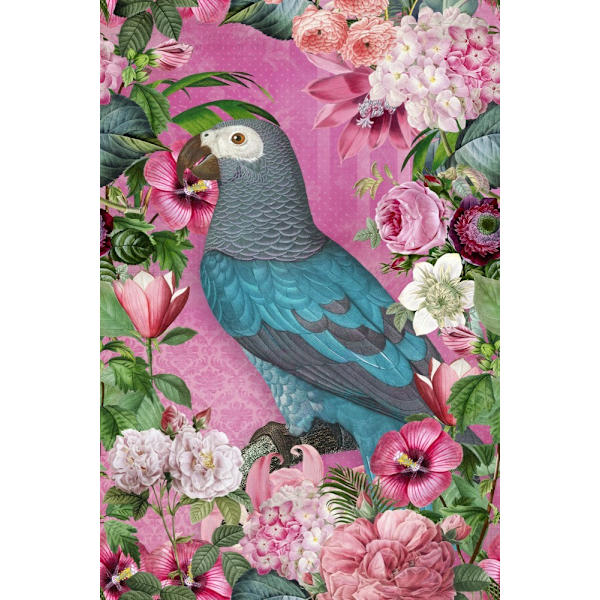 The Parrots Paradise Garden MultiColor 70x100 cm