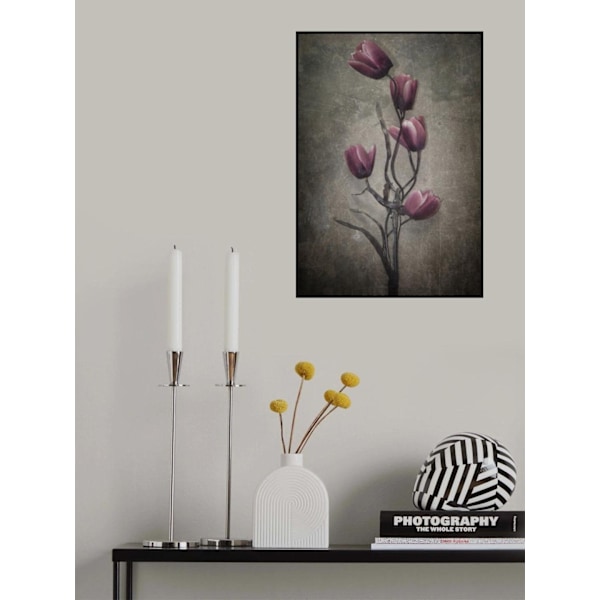 Du har ikke set det sidste af mig MultiColor 50x70 cm