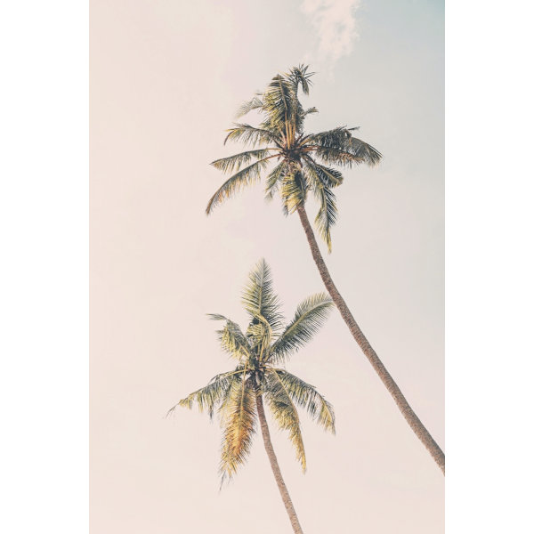 Tropical Palms MultiColor 70x100 cm