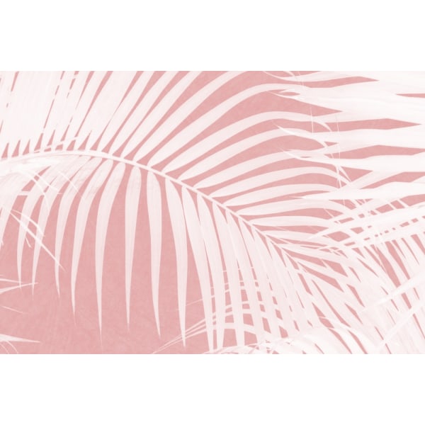 Palm Leaves On Pink Silhouette Iv MultiColor 21x30 cm