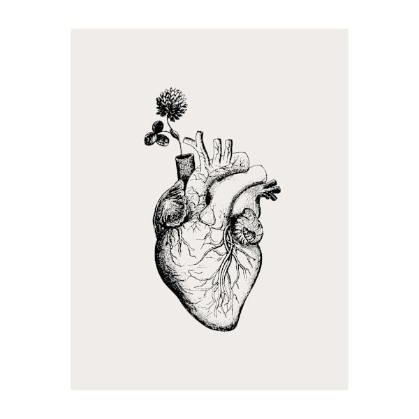 Heart Bloom MultiColor 50x70 cm