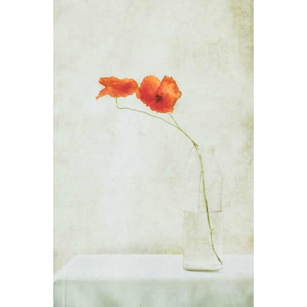 Two Poppies In A Bottle MultiColor 21x30 cm