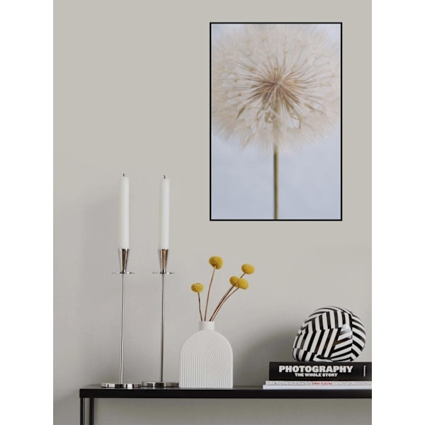 Delicate Dandelion MultiColor 70x100 cm