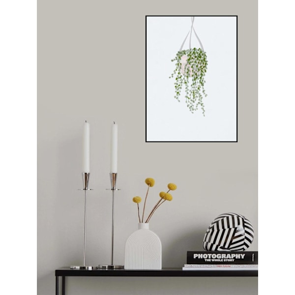 Scandi Japandi String Of Pearls MultiColor 70x100 cm
