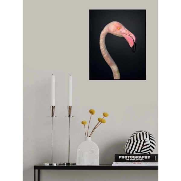 F L A M B O Y A N C E MultiColor 30x40 cm