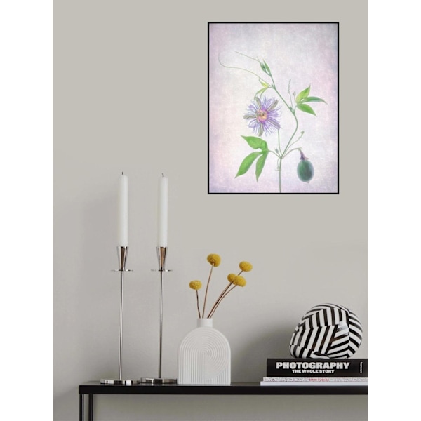Passion Fruit MultiColor 30x40 cm
