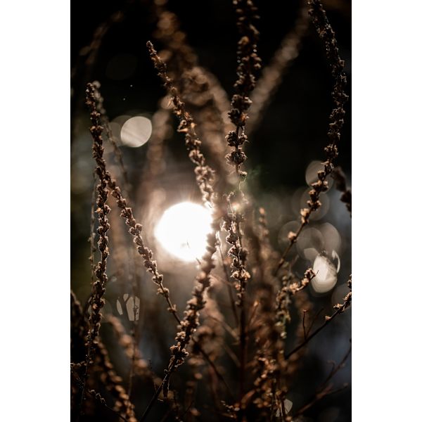Natural Sparkle 2 MultiColor 21x30 cm