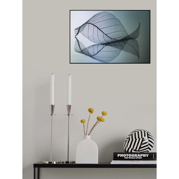 Curvaceousness MultiColor 70x100 cm