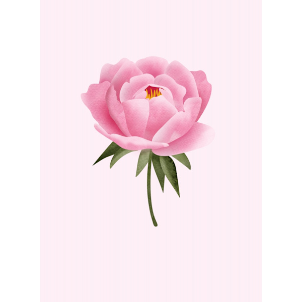 Peony Statement MultiColor 30x40 cm