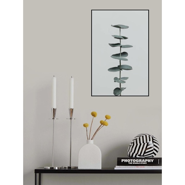 Eukalyptus Natural 09 MultiColor 50x70 cm