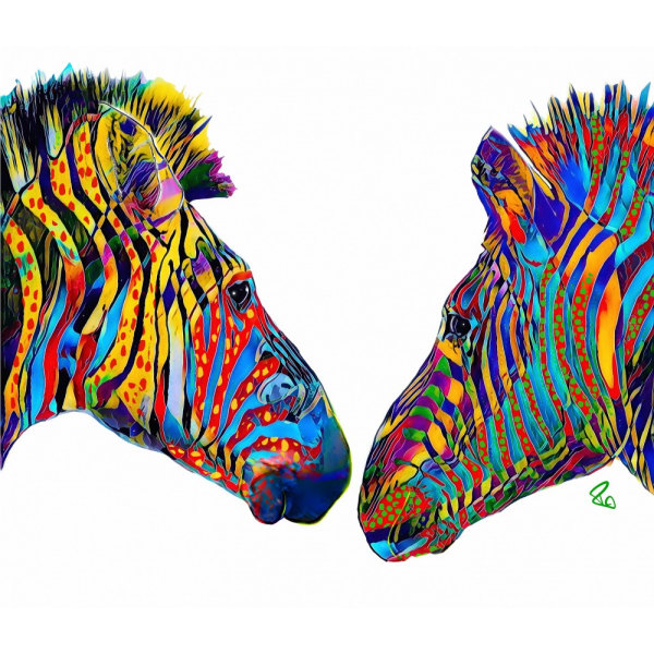 Ziggy And Zag The Zebras MultiColor 30x40 cm