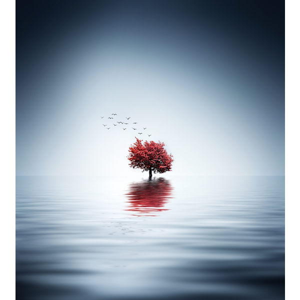 Autumn Trees Reflected Blue Lake MultiColor 70x100 cm