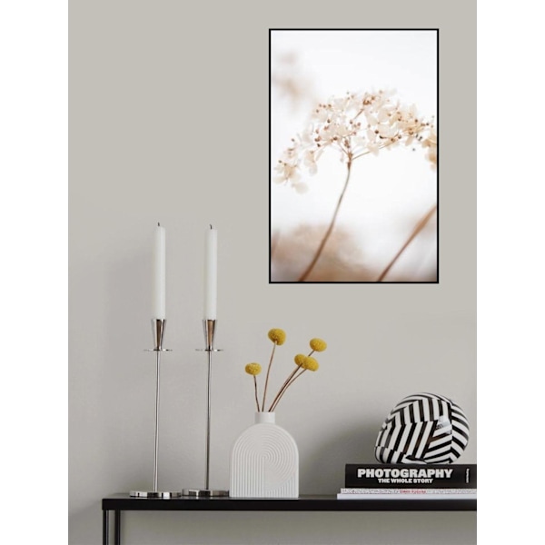 Soft Dried Flower_Brown MultiColor 21x30 cm