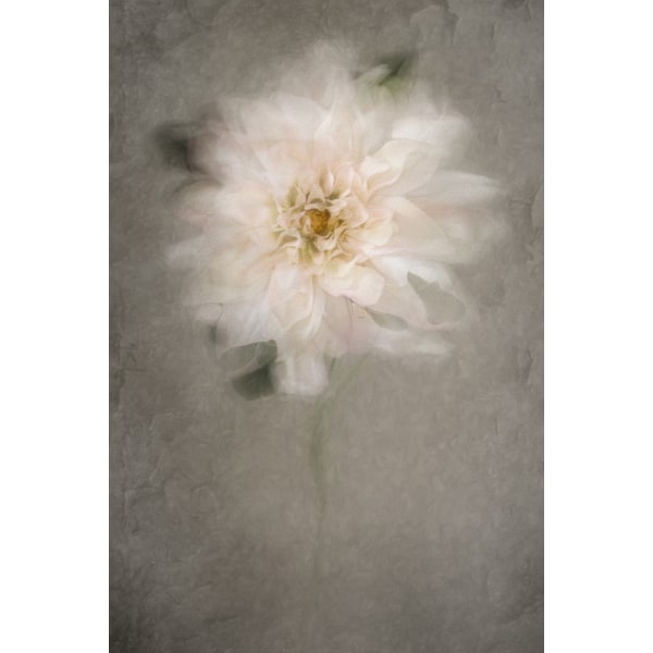 For The Bride MultiColor 70x100 cm