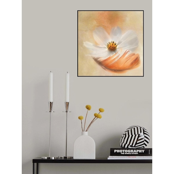 As Light As A Feather MultiColor 50x70 cm