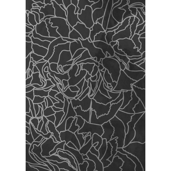 Abstract Black White Peony Line Art MultiColor 21x30 cm