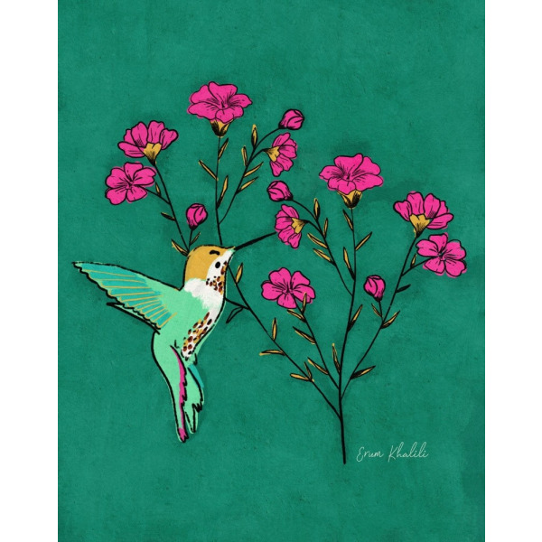 Hummingbird Erum Khalili.png MultiColor 21x30 cm