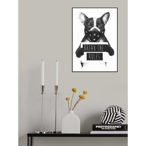 Rebel Dog MultiColor 21x30 cm
