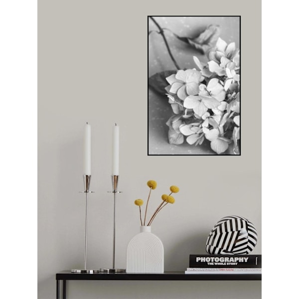 Dried Flowe Ron Plate_Black Aamp White MultiColor 70x100 cm