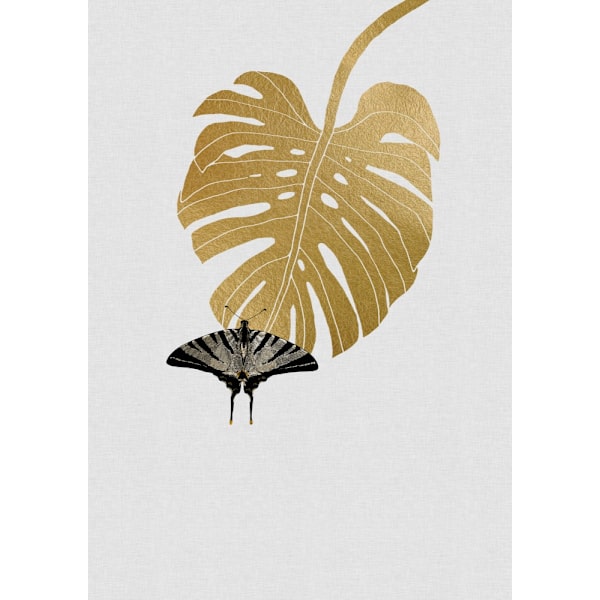 Butterfly A Monstera Leaf MultiColor 21x30 cm