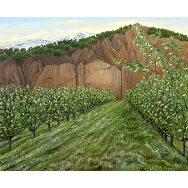 Quince Trees MultiColor 30x40 cm