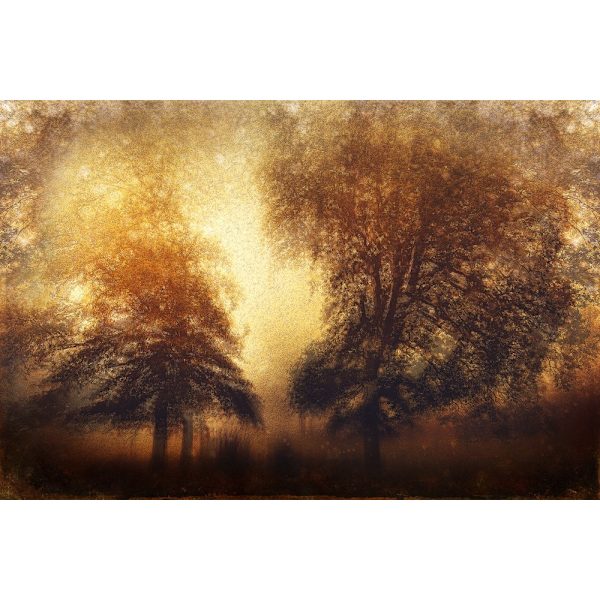 Poster MultiColor 50x70 cm