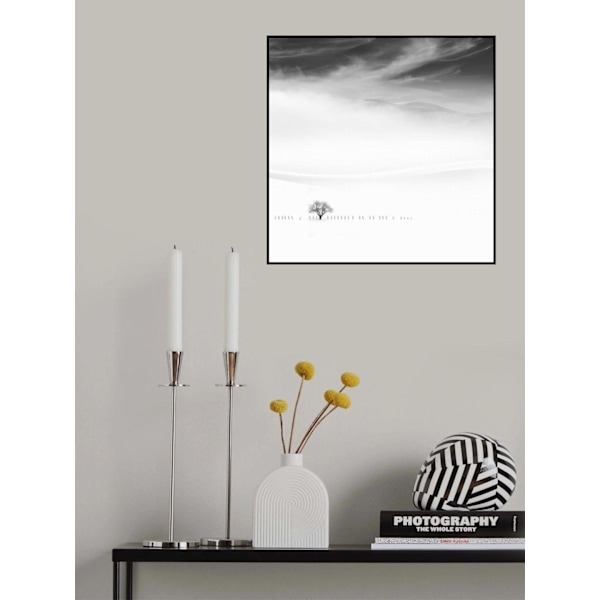 Poems Of Silence MultiColor 50x70 cm