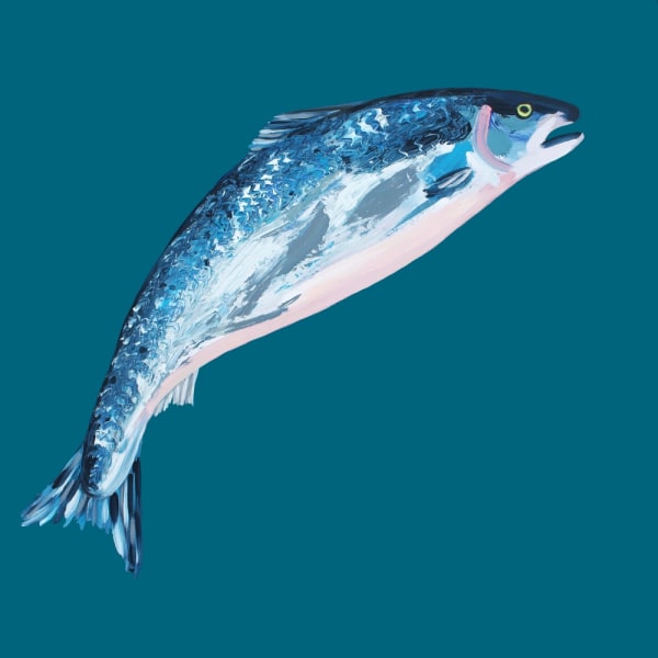 Leaping Salmon MultiColor 21x30 cm