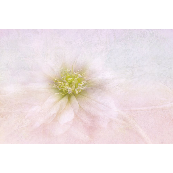 Over The Rainbow MultiColor 70x100 cm