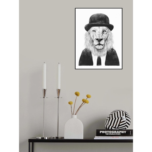 Sir Lion MultiColor 70x100 cm
