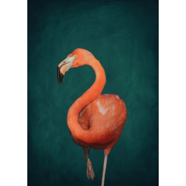 Green Flamingo MultiColor 30x40 cm