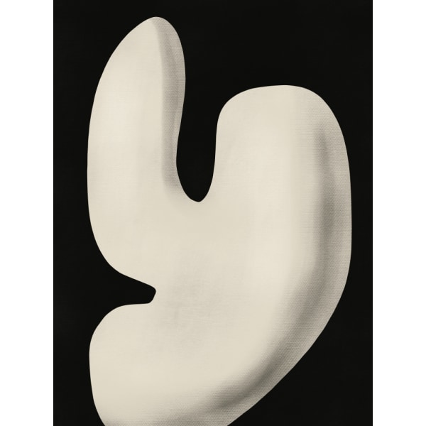 Abstract White Sculpture Y MultiColor 70x100 cm