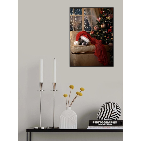 Waiting For Santa MultiColor 30x40 cm