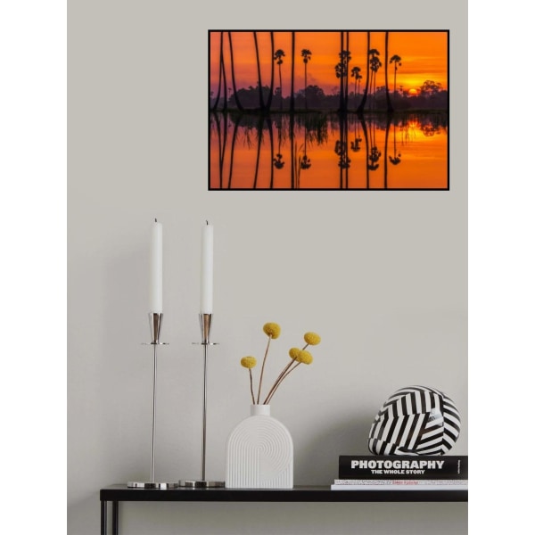 Sunrise At The Rice Field MultiColor 70x100 cm