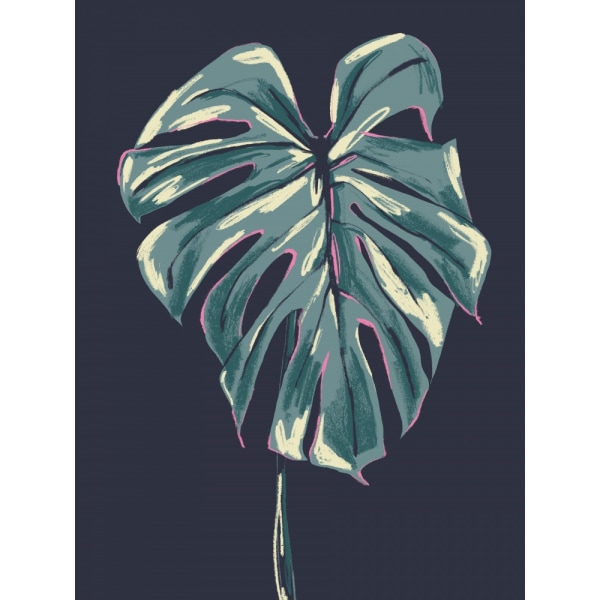 Monstera Deliciosa Dark MultiColor 50x70 cm