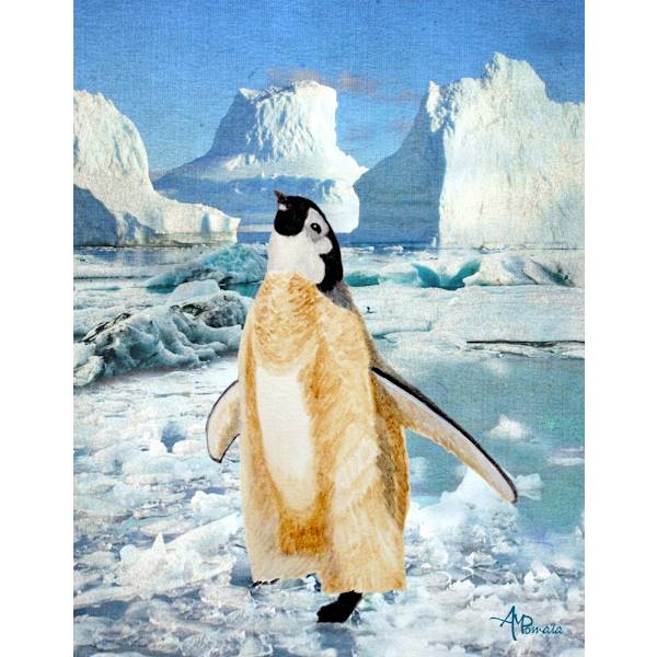 Penguin Chick In The Arctic MultiColor 21x30 cm