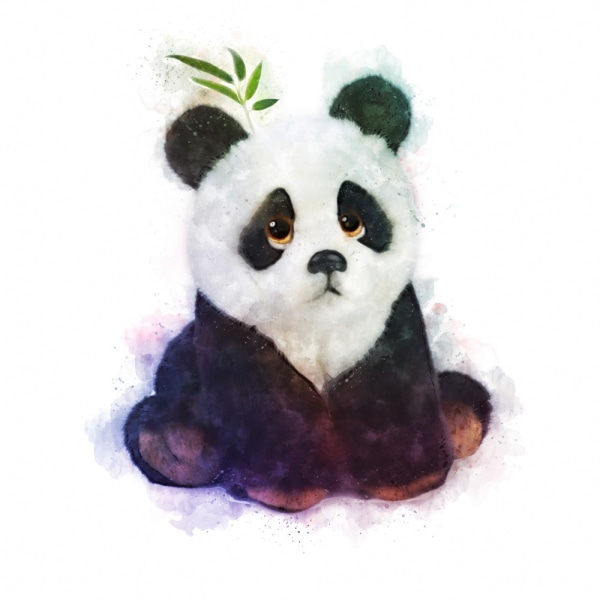 Baby Panda MultiColor 21x30 cm