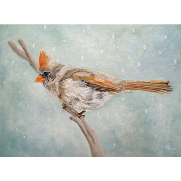 Snow Flurry MultiColor 50x70 cm