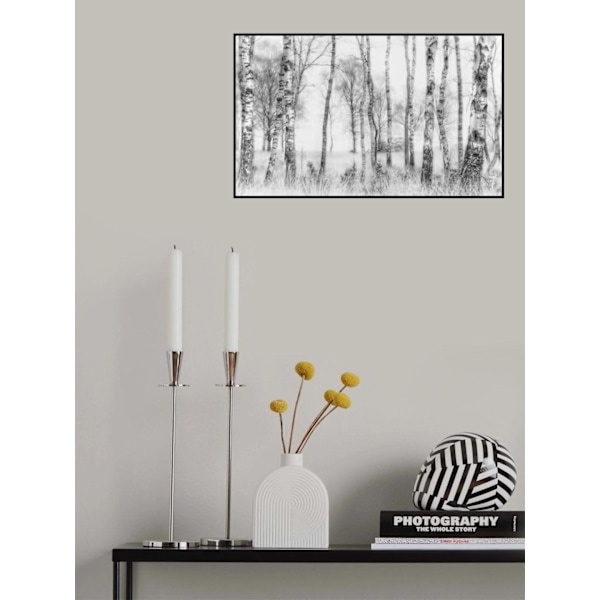 Black And White MultiColor 30x40 cm