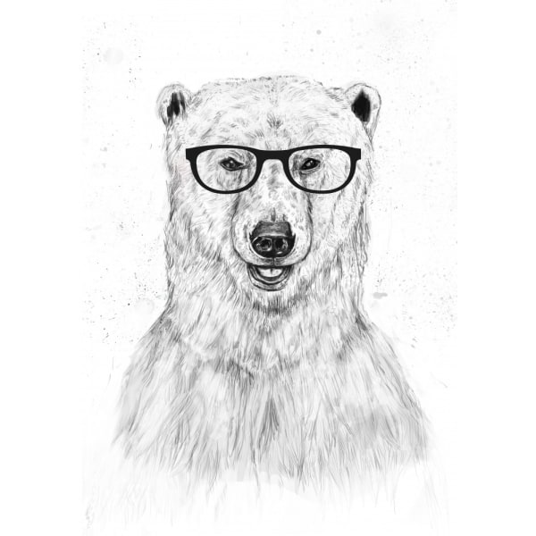 Geek Bear MultiColor 50x70 cm