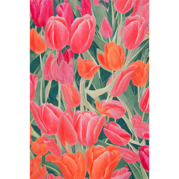 Pink Tulips MultiColor 50x70 cm