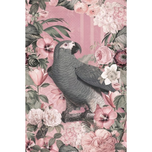 The Parrots Paradise Garden 2 Pastel Pink MultiColor 50x70 cm