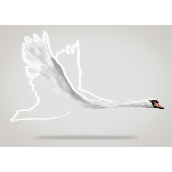 Winged One MultiColor 70x100 cm