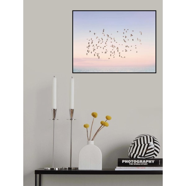 Sunset Flight MultiColor 21x30 cm