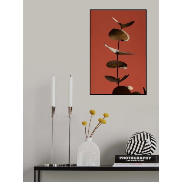 Eucalyptus Gold Rust 04 MultiColor 21x30 cm