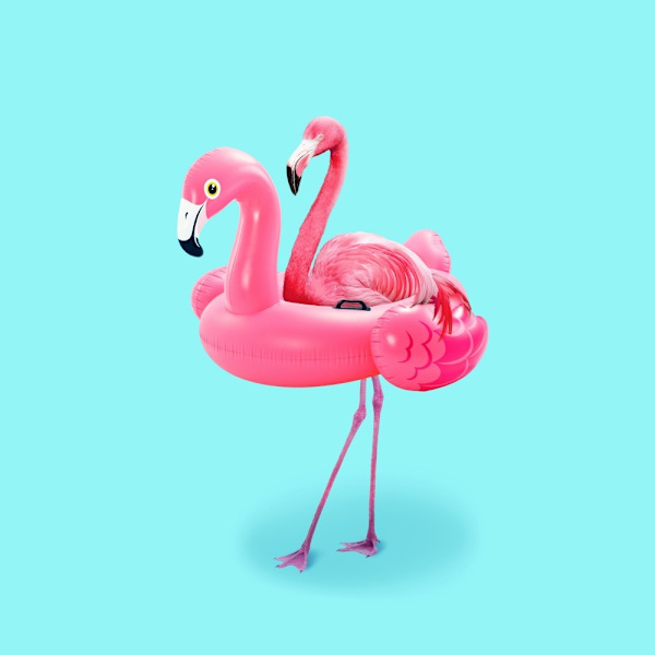 Flamingo On Resort MultiColor 30x40 cm