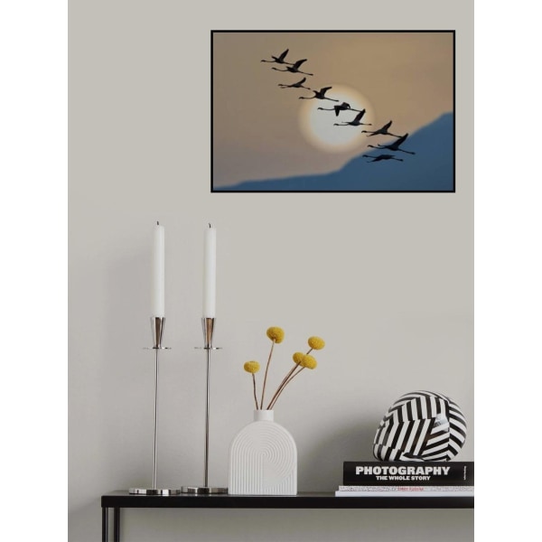 Flamingot auringonnousussa MultiColor 30x40 cm